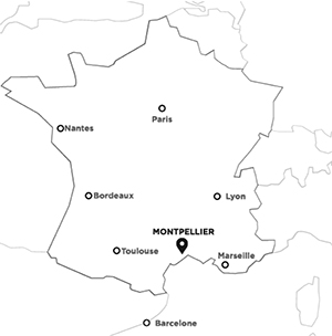 Carte Montpellier MNE 2024